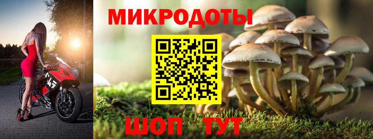 Усолье-Сибирское  Псилоцибиновые грибы мицелий  даркнет сайт  Вход с VPN 